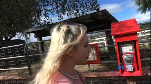 Britt Blair Farm Date Part 1